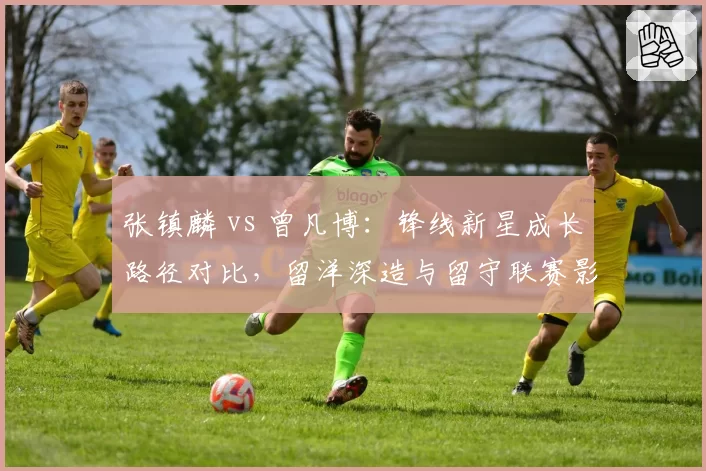 张镇麟 vs 曾凡博：锋线新星成长路径对比，留洋深造与留守联赛影响各自发展