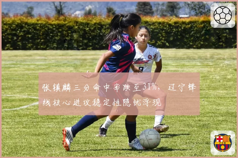 张镇麟三分命中率跌至31%,辽宁锋线核心进攻稳定性隐忧浮现