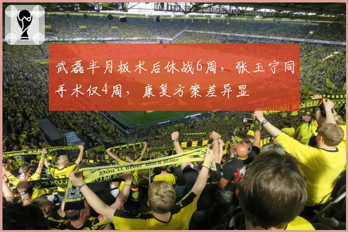武磊半月板术后休战6周，张玉宁同手术仅4周，康复方案差异显